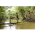 Team 43 / Raid l'Arbre Vert  Cambodge - Course Orientation