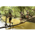 Team 63 / Raid l'Arbre Vert  Cambodge - Course Orientation