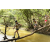 Team 03 / Raid l'Arbre Vert  Cambodge - Course Orientation