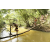 Team 52 / Raid l'Arbre Vert  Cambodge - Course Orientation
