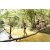 Team 73 / Raid l'Arbre Vert  Cambodge - Course Orientation