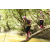 Team 57 / Raid l'Arbre Vert  Cambodge - Course Orientation