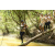 Team 14 / Raid l'Arbre Vert  Cambodge - Course Orientation