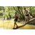 Team 31 / Raid l'Arbre Vert  Cambodge - Course Orientation