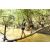 Team 72 / Raid l'Arbre Vert  Cambodge - Course Orientation