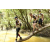 Team 45 / Raid l'Arbre Vert  Cambodge - Course Orientation