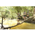 Team 06 / Raid l'Arbre Vert  Cambodge - Course Orientation
