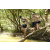 Team 29 / Raid l'Arbre Vert  Cambodge - Course Orientation