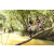 Team 23 / Raid l'Arbre Vert  Cambodge - Course Orientation