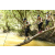 Team 58 / Raid l'Arbre Vert  Cambodge - Course Orientation