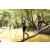 Team 22 / Raid l'Arbre Vert  Cambodge - Course Orientation