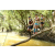 Team 28 / Raid l'Arbre Vert  Cambodge - Course Orientation