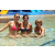 Team 22 / Raid l'Arbre Vert Amazones Bali