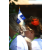 Team 56 / Raid l'Arbre Vert Amazones Bali