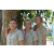 Team 13 / Raid l'Arbre Vert Amazones Bali