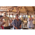 Team 70 / Raid l'Arbre Vert Amazones Bali