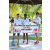 Team 05 / Raid l'Arbre Vert Amazones Bali