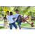 Team 05 / Raid l'Arbre Vert Amazones Bali