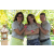 Team 41 / Raid l'Arbre Vert Amazones Bali