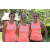 Team 58 / Raid l'Arbre Vert Amazones Bali