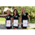 Team 22 / Raid l'Arbre Vert Amazones Bali