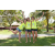 Team 39 / Raid l'Arbre Vert Amazones Bali