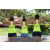 Team 39 / Raid l'Arbre Vert Amazones Bali
