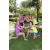 Team 24 / Raid l'Arbre Vert Amazones Bali