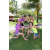 Team 24 / Raid l'Arbre Vert Amazones Bali