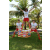 Team 66 / Raid l'Arbre Vert Amazones Bali