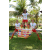 Team 66 / Raid l'Arbre Vert Amazones Bali