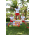 Team 66 / Raid l'Arbre Vert Amazones Bali