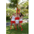 Team 66 / Raid l'Arbre Vert Amazones Bali