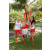Team 66 / Raid l'Arbre Vert Amazones Bali