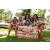 Team 65 / Raid l'Arbre Vert Amazones Bali