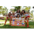 Team 65 / Raid l'Arbre Vert Amazones Bali