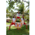 Team 65 / Raid l'Arbre Vert Amazones Bali