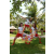 Team 65 / Raid l'Arbre Vert Amazones Bali