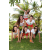 Team 65 / Raid l'Arbre Vert Amazones Bali