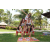 Team 65 / Raid l'Arbre Vert Amazones Bali
