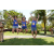 Team 49 / Raid l'Arbre Vert Amazones Bali