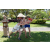 Team 52 / Raid l'Arbre Vert Amazones Bali