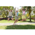 Team 40 / Raid l'Arbre Vert Amazones Bali