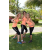 Team 42 / Raid l'Arbre Vert Amazones Bali