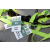 Team 50 / Raid l'Arbre Vert Amazones Bali