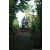 Team 06 / Raid l'Arbre Vert Amazones Bali