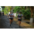 Team 09 / Raid l'Arbre Vert Amazones Bali