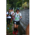 Team 21 / Raid l'Arbre Vert Amazones Bali