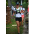 Team 22 / Raid l'Arbre Vert Amazones Bali