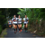 Team 28 / Raid l'Arbre Vert Amazones Bali